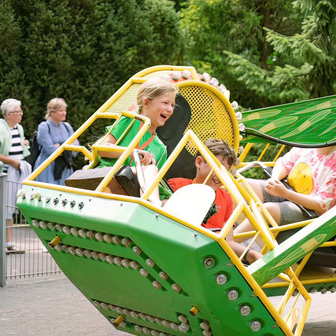 Die schönsten Freizeitparks im Emsland im Vergleich: Darum überzeugt der Tier und Freizeitpark Thüle Familien