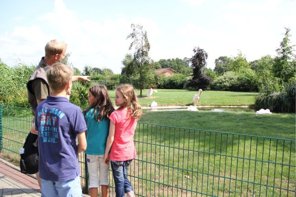 Wachküssen statt Warteschlange: So erwischst du die Tiere im Tier- & Freizeitpark Thüle hellwach