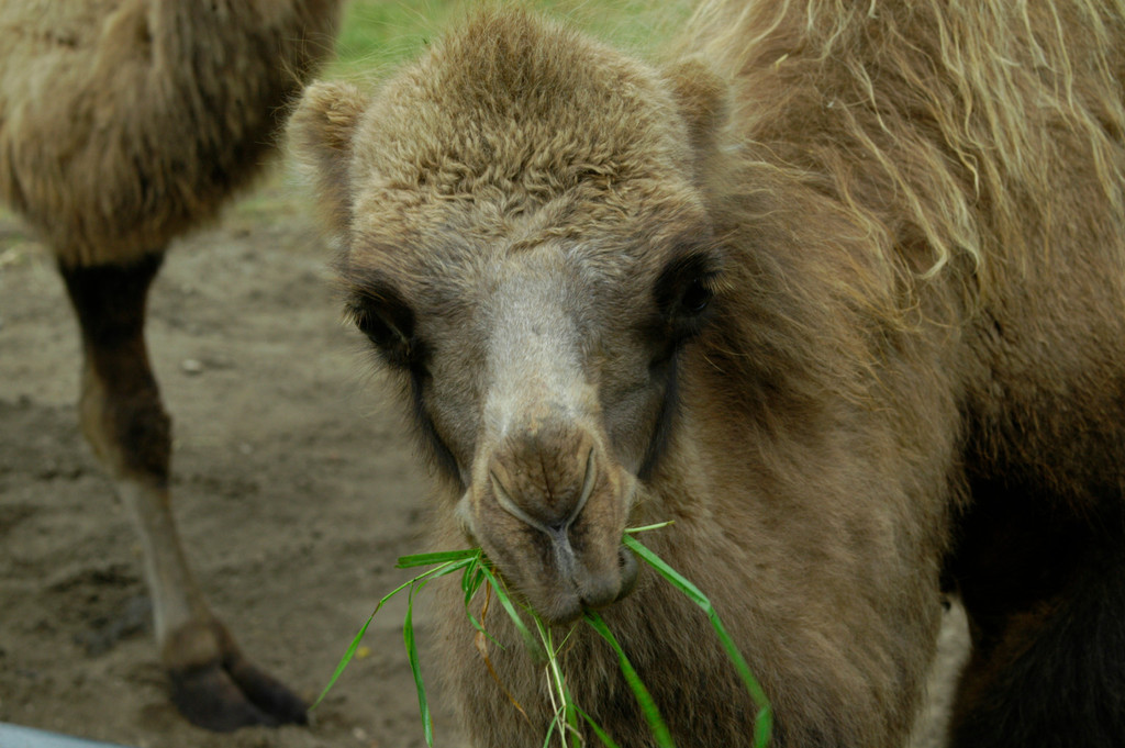 Für kleine und große Naturfreunde Unser Tierpark! / Erleb was Wildes!
