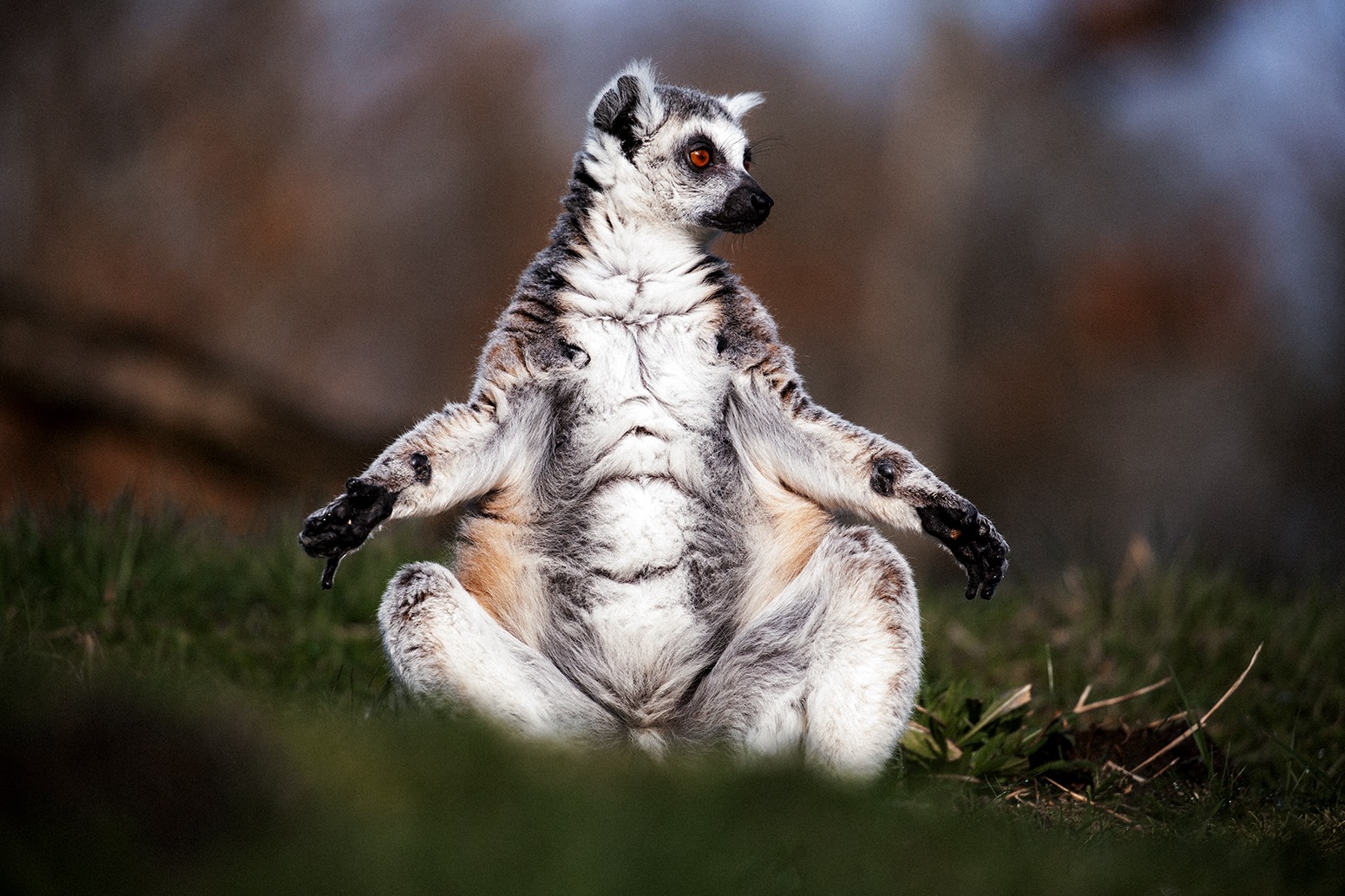 F r Kleine Und Gro e Naturfreunde Unser Tierpark Tier Und 