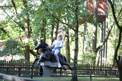 Pferdebahn (Münzgerät 1€)